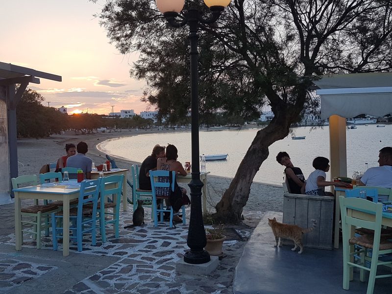 Sunset dining in Pollonia